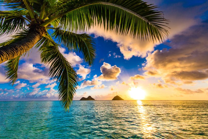 ハワイのオアフ島で絶対に外せないビーチ5選｜全米No.1ビーチも掲載 | アロハスマイル（ALOHA SMILE）