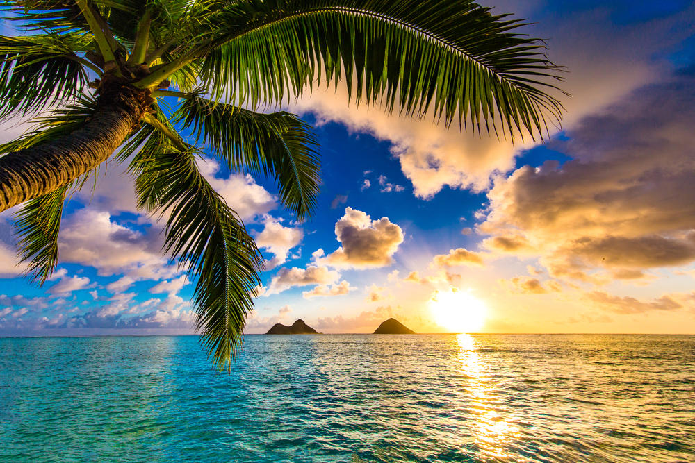 ハワイのオアフ島で絶対に外せないビーチ5選 全米no 1ビーチも掲載 アロハスマイル Aloha Smile