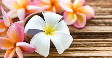 Soft focus and blur background Plumeria flower on wood table