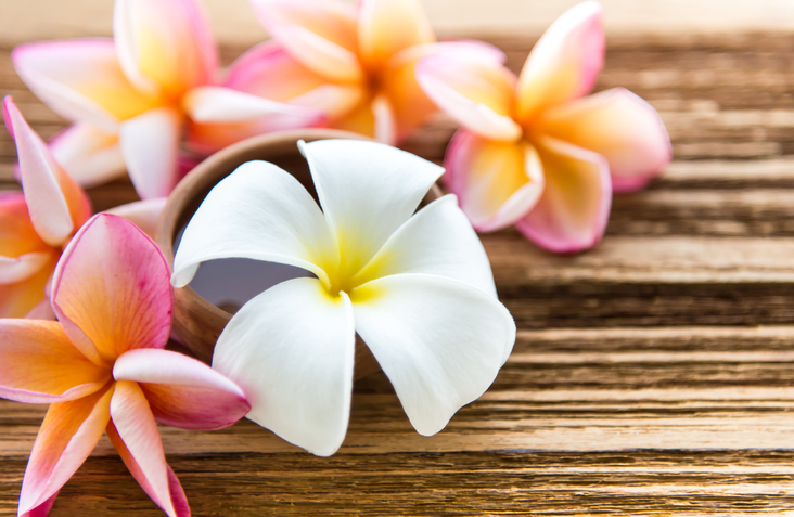 Soft focus and blur background Plumeria flower on wood table