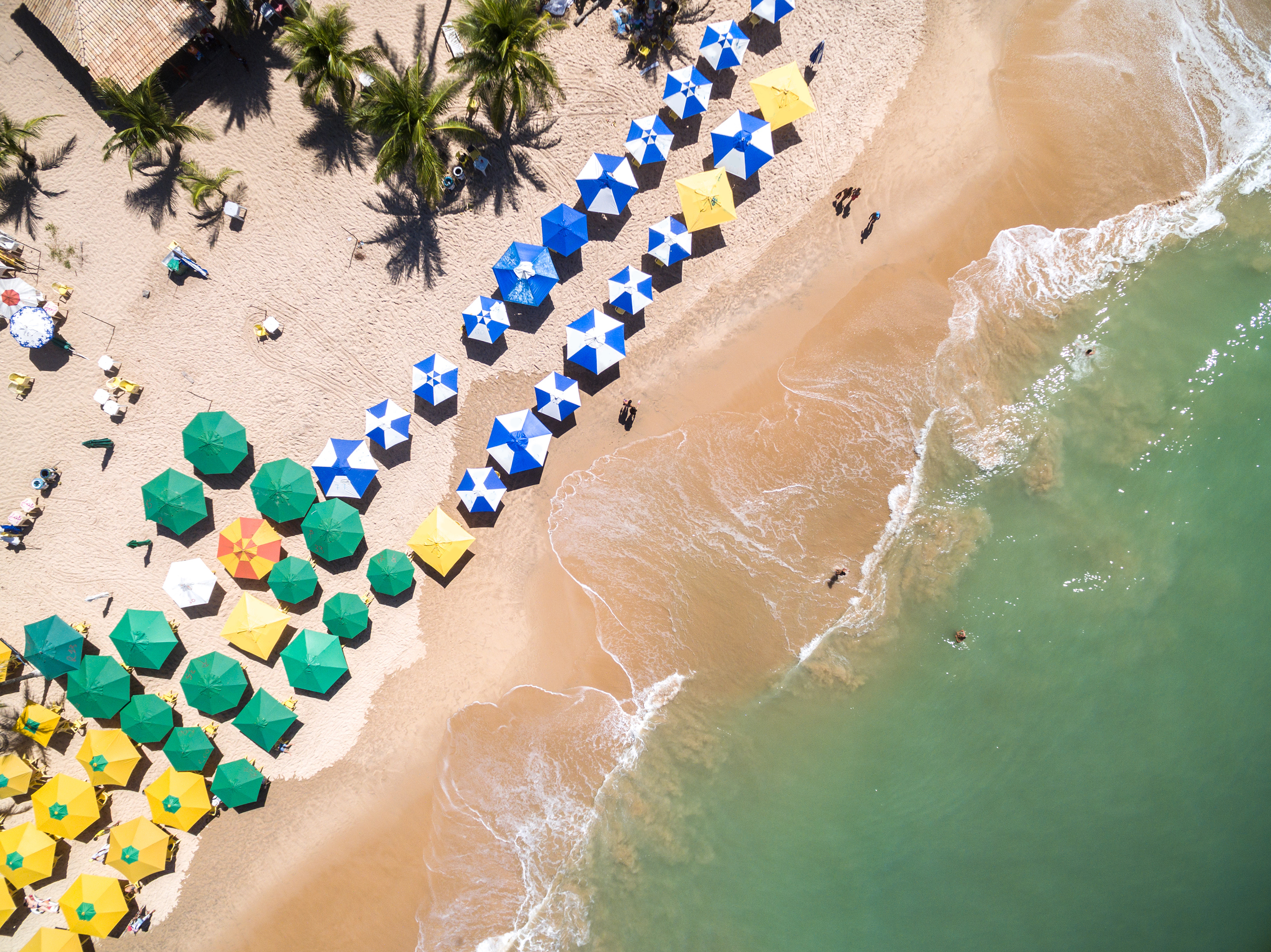 Top View of a Beach in Bahia, Brazil