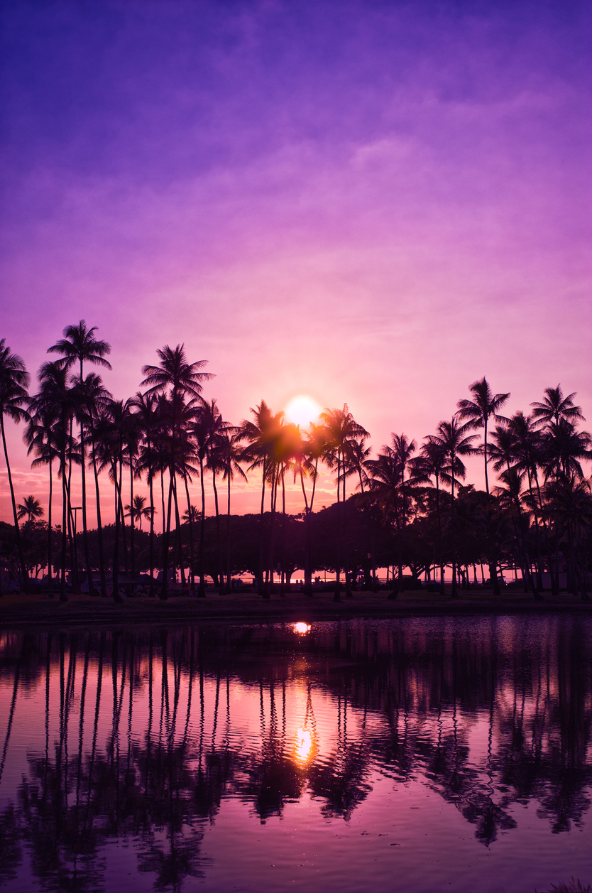 Palm Trees And Sunset Of The Sky Hawaii アロハスマイル Aloha Smile