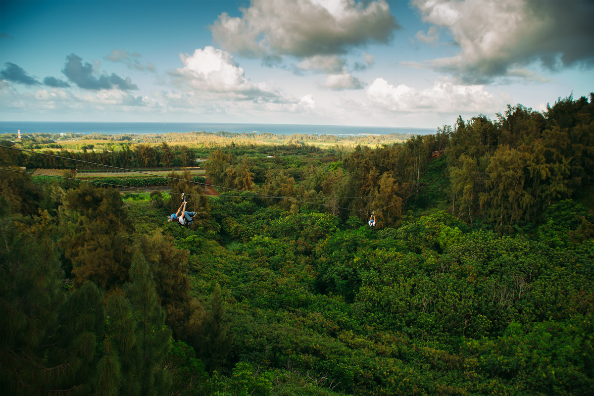 ハワイのアクティビティ｜海・山・空から見渡す絶景に感動する