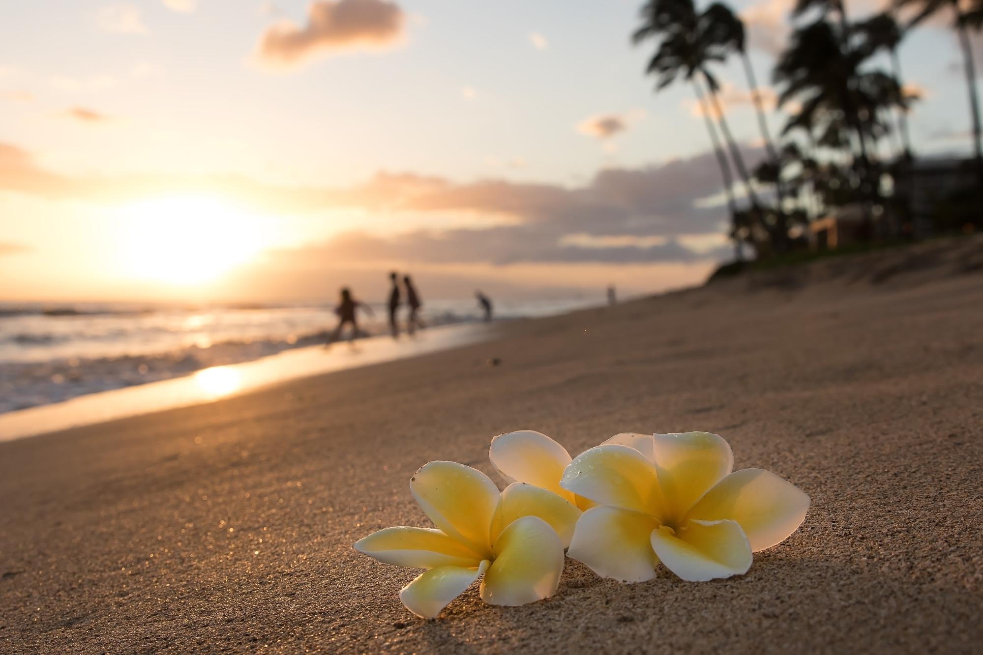 ハワイ ホノルル観光の穴場スポット15選 現地在住者おすすめの名所 アロハスマイル Aloha Smile