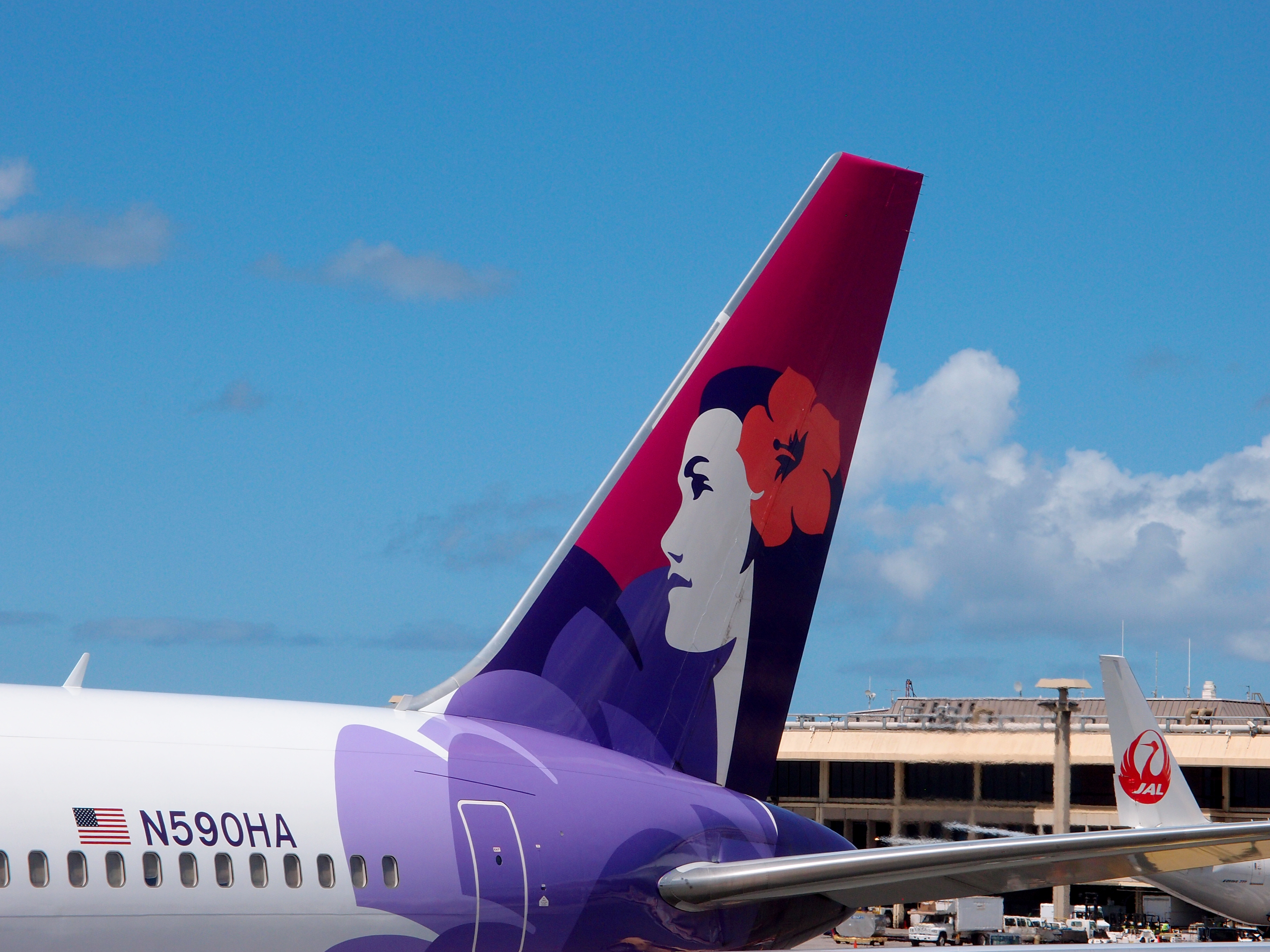 Tails of Hawaiian Airlines and Japan Airlines airplanes