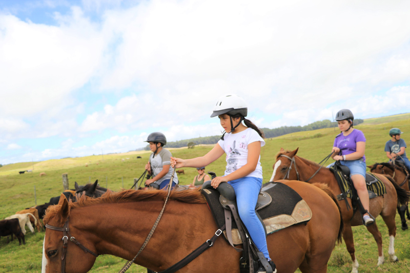 ハワイ島の大草原を満喫！ダハナランチ乗馬ツアーに密着！