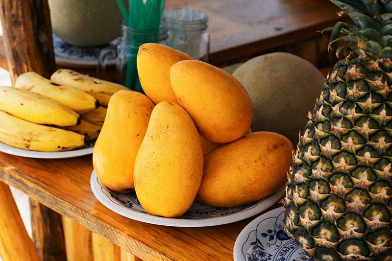 ハワイのフルーツを食べよう！マンゴーの季節は今が旬！