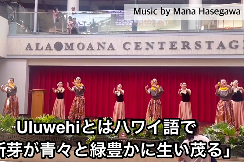 【女子大ハワイ旅行】青学女子大生のフラサークルがハワイでフラを踊る